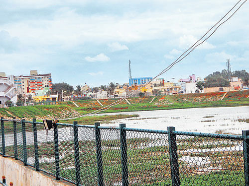 The Palike has so far spent Rs five crore on restoring the lake. DH Photo
