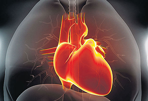 Israeli researchers have developed novel cardiac patches made from gold particles that could be transplanted into the body to replace damaged heart tissue.- for representation
