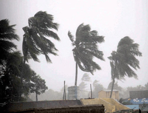 Eleven teams of National Disaster Response Force (NDRF) have been deployed in the coastal districts of Andhra Pradesh as the severe cyclone 'Hudhud' is expected to cross the Bay of Bengal coast tomorrow. PTI file photo for representational purpose only