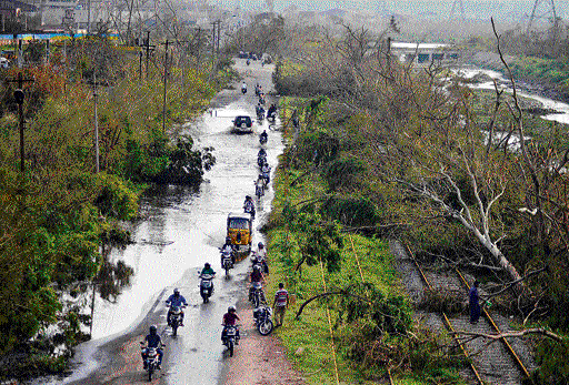 Vehicles move through a flooded road with uprooted trees in Visakhapatnam on Tuesday Reuters