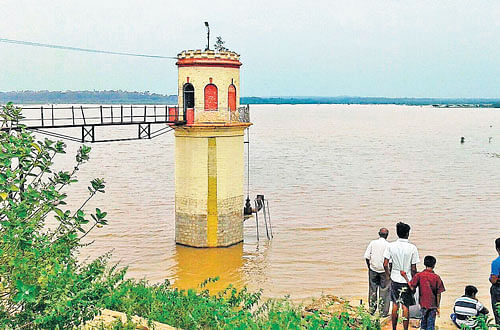 IN THE PINK OF HEALTH: Hesaraghatta lake has turned into a picnic spot with increasing water levels. dh photo