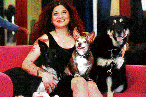 Pet lover: Nikki Kapoor bakes cakes and cookies especially for dogs.