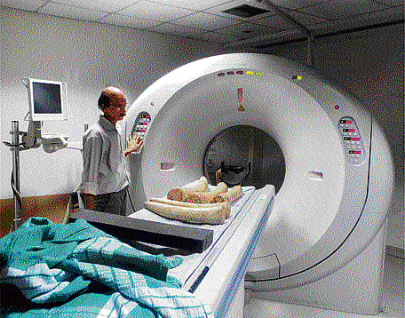 Experts use CT scan to nail fake ivory sellers