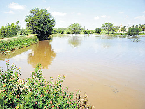 The District Lake Protection Committee appears to have become a moribund institution given its record in restoring or protecting the lakes and tanks in the City. DH file photo