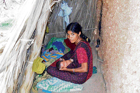 Banished: This file photo shows a woman nursing her baby in a temporary shelter set up outside her house at Gollarahatti near Halebid in Hassan district. Women of Golla community are banished from their homes during menstruation and post-child birth.  DH photo