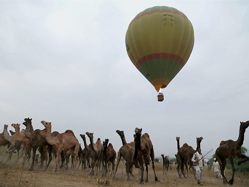Hot air balloons carrying tourists fly during Pushkar Camel Fair on October 31, 2014. PTI file photo