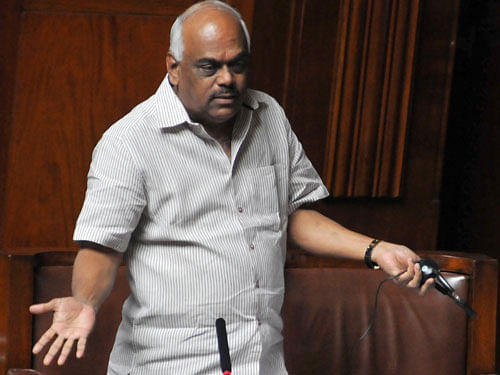 The committee headed by senior Congress legislator Ramesh Kumar has done a detailed activity mapping and assigned specific responsibility to gram, taluk and zilla panchayats.  DH file photo