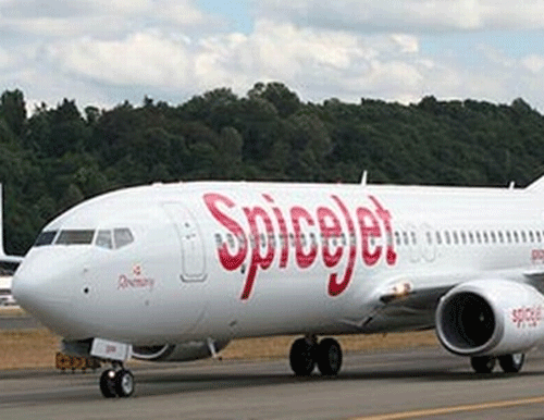 Sun Group-owned SpiceJet, which was in the woods, is now on a recovery path. / PTI Photo