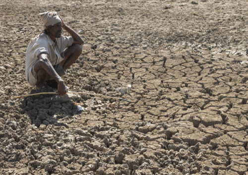 Revenue Minister V Srinivas Prasad on Friday said the total loss due to a drought-like situation prevailing in several taluks in the State had reached Rs 3,589 crore. DH file photo
