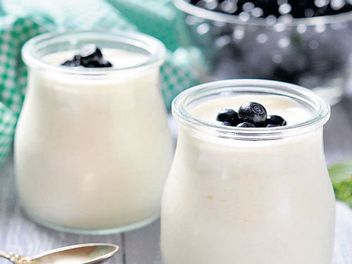 A spoonful of yoghurt could soon offer a cheap and simple way to screen for colorectal cancer
