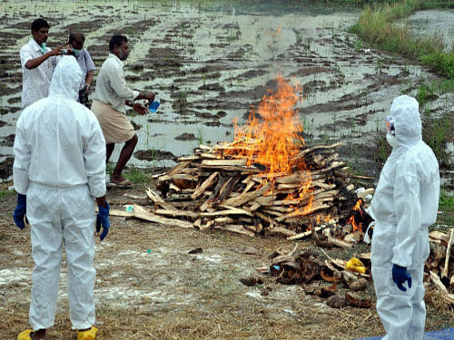Ducks affected by bird flu are burnt by vetenary officials at Purakkad in Alappuzha district of Kerala. Kerala government today decided to complete within three days culling of birds hit by H5N1, the strain of avian influenza that has killed thousands of ducks in three districts and stepped up preventive measures to check its spread to human beings. PTI photo
