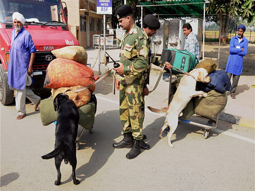 With the Sangh Parivar keen on stopping illegal transport of cows across the border for slaughtering, Home Minister Rajnath Singh on Monday asked the Border Security Force (BSF) to end the activity along the Indo-Bangladesh border. PTI file photo
