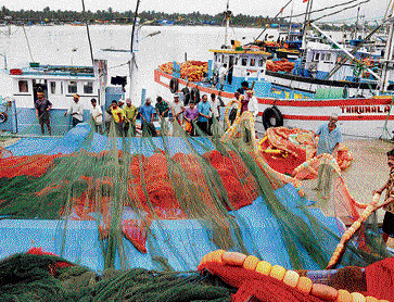 In 2013-14, Karnataka exported 1.70 lakh metric tonnes of fish worth Rs 1,200 crore . DH&#8200;FILE&#8200;PHOTO