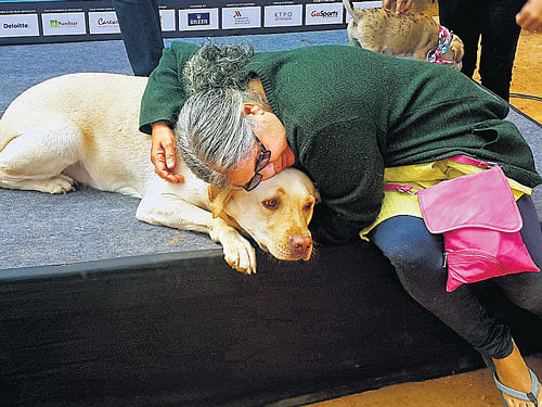 Adogowner comforts her pet at the pet-a-thon on Sunday. DH PHOTO