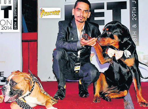 Bengaluru has always been a party hub for the youngisthan. In what can be called as a new move, 'namma Bengaluru' has now become a party place for the pets too!