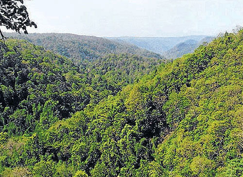 Signalling a major shift in its environment protection policy, the National Democratic Alliance (NDA) government at the Centre proposes to issue a fresh 'draft' on saving the Western Ghats. DH file photo