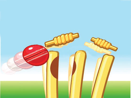 A 13-year-old boy died after being hit in the chest by a cricket ball at a village in Uttar Pradesh's Siddharth Nagar district, about 225 km from here.DH Illustration