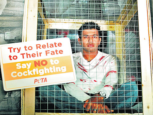 save the animals: Tennis champion Rohan Bopanna gets himself caged for a PETA  campaign against cock fights in the City on Tuesday. dh Photo