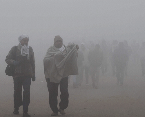 Piercing cold wave conditions continued unabated across North India on Friday. PTI Image