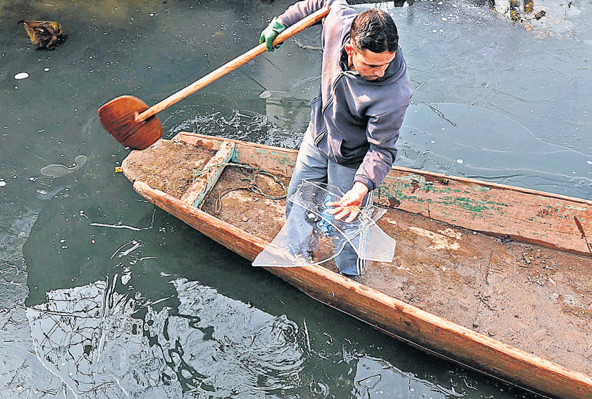 A boatman picks up pieces of the frozen Dal Lake in Srinagar on Sunday. PTI
