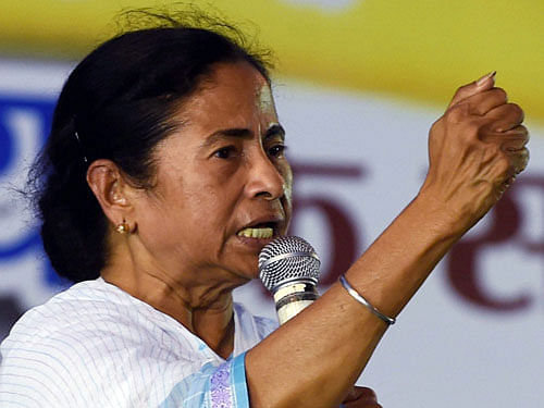 The Trinamool supremo who spearheaded the Save Farmland movement in Hooghly district's Singur that eventually catapulted her to power in West Bengal, called for burning the