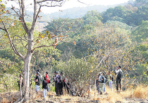 Trekkers at the Highest Point Trail inside Sanjay Gandhi National Park. Mrityunjay Bose