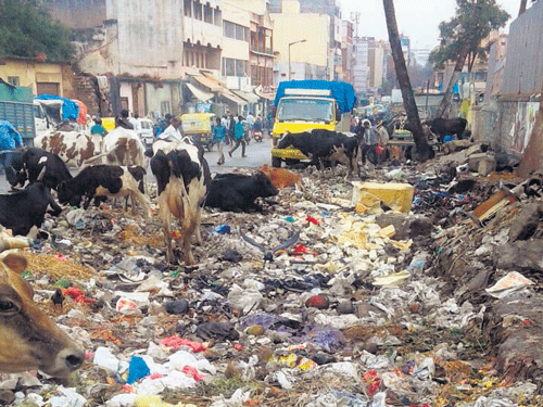Mounds of garbage lie unattended on Arcot Srinivasachar Street. DH PHOTO