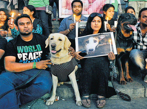 Activists of Action for Animal Justice hold a protest on Sunday against the recent killing of over 50 dogs by poisoning in the City. DH PHOTO