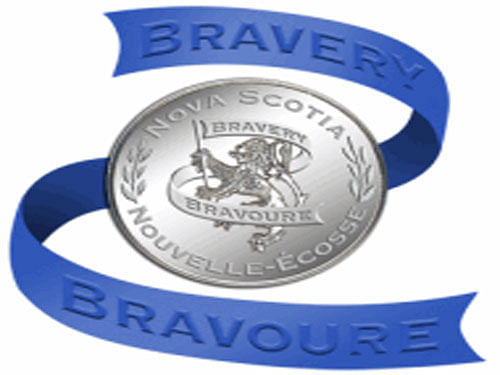 National Bravery Award. Screen grab for representation.
