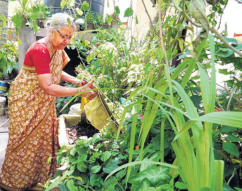 BE&#8200;THE&#8200;CHANGE: Anusuya Sharma is one of the pioneers of terrace gardening in Bengaluru.