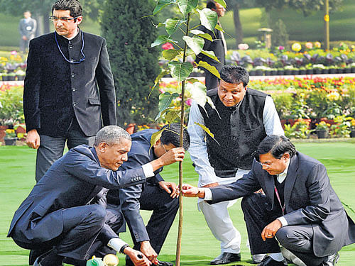 US President Barack Obama plants a peepal sapling at  Rajghat in New Delhi on Sunday. PTI