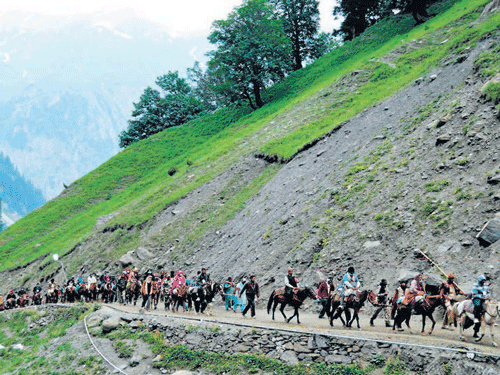 Pilgrims trekking their route to the Amarnath cave near  Dhumail in Sonamarg. PTI File Photo