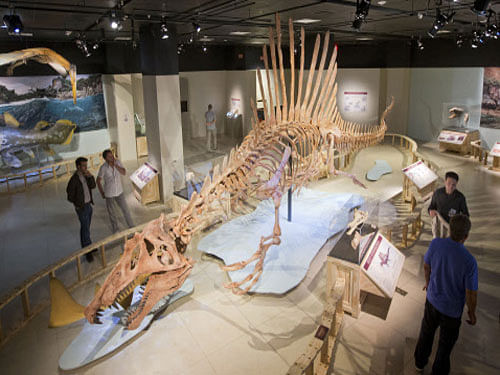 University of Alberta paleontologists has discovered a new species of a long-necked dinosaur called Qijianglong from a skeleton found in China.AP FIle Photo for Representation Purpose Only