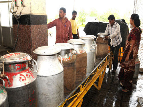 The Centre has set up a high-powered committee to suggest amendments to food safety law in order to make punishment for milk adulteration harsher. DH file photo