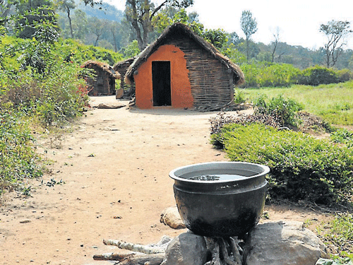 A view of a house of a Soliga family at Monaikaipodi under BR Tiger Reserve in Chamarajanagar district. DH&#8200;Photo