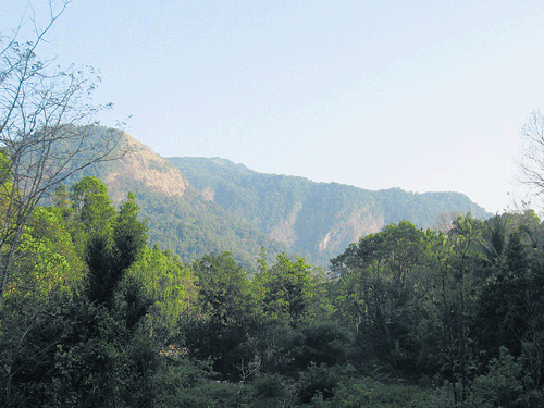 Ajjolli area near Hebri, where the Maoists had visited. DH photo