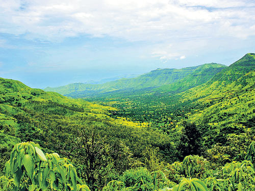 Win-win Situation : Western Ghats