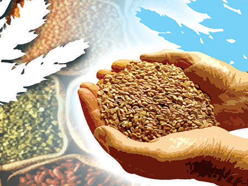 In a bid to prune its food subsidy bill, the Modi government has embarked on an initiative to rationalise the list of beneficiaries under various schemes that provide cheaper foodgrain to the needy sections of the society.DH Illustration