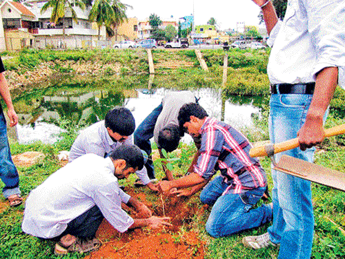 eco-drive LIFE members planting a sapling in Bengaluru.