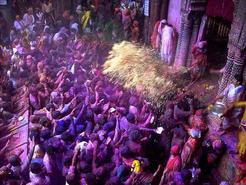 For thousands of widows residing in the five shelter homes run by the Sulabh International, this Holi will be a special one as a three-day program has been arranged for them in Vrindavan. PTI Photo.
