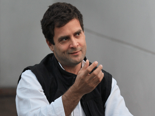 In the midst of an intense debate over Rahul Gandhi's future role in Congress, a new book says the young leader took too long to emerge and describes his 2014 Lok Sabha election campaign as the worst in living memory.PTI File photo