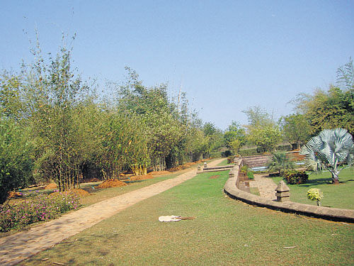 Bamboo Garden in Bhubaneswar.