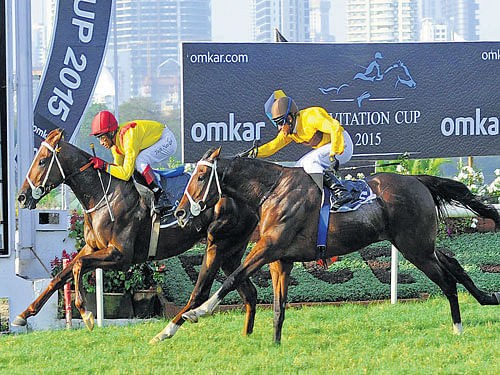 Quasar, ridden by Yash Narredu and trained by Mallesh Narredu, triumphed in the Omkar Indian Turf Invitation Cup, a victory that saw punters go wild and Royal Western India Turf Club (RWITC) stewards open an enquiry at the Mahalaxmi Race Course in Mumbai on Saturday. DH Photo.