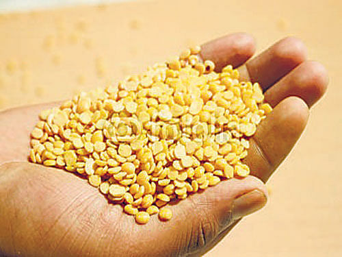 Govt in a bind over supplying pricey tur dal to BPL families