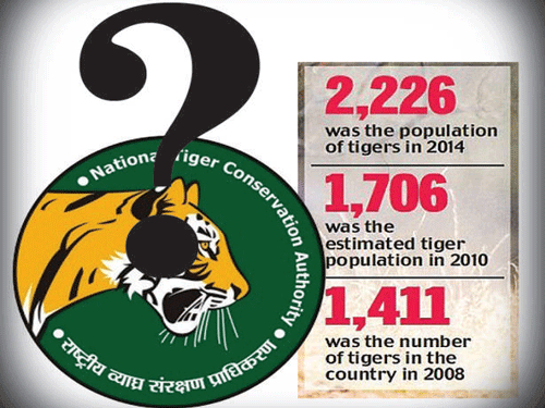 In the wake of the latest tiger census figures released by the National Tiger Conservation Authority (NTCA) and the government which announced in January...
