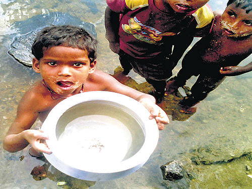 Children collect water from Harangi canal. (right) The residents of Gandha colony collect water from Harangi canal near Somwarpet. DH PHOTOS