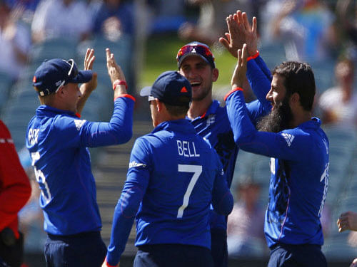 England won the toss and elected to field against Afghanistan in their pool A ODI cricket match of the ICC World Cup here today. Reuters photo
