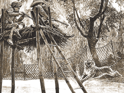 Tiger hunting in Princely Mysore, an illustration fromIllustrated London News (March 14, 1892);
