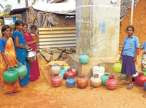 Women and children wait to collect drinking water, at Heggavadipura, Chamarajanagar taluk, on Tuesday. DH PHOTO