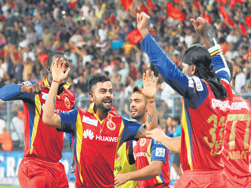 jubilant: RCB players celebrate their three-wicket win over Kolkata Knight Riders on Saturday. dh photo / debasish bhaduri